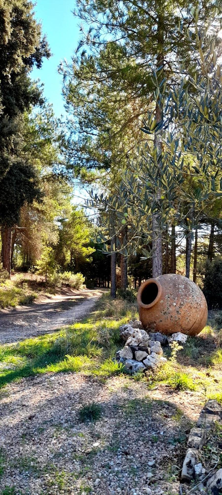 Villa Sanz Κουένκα Εξωτερικό φωτογραφία
