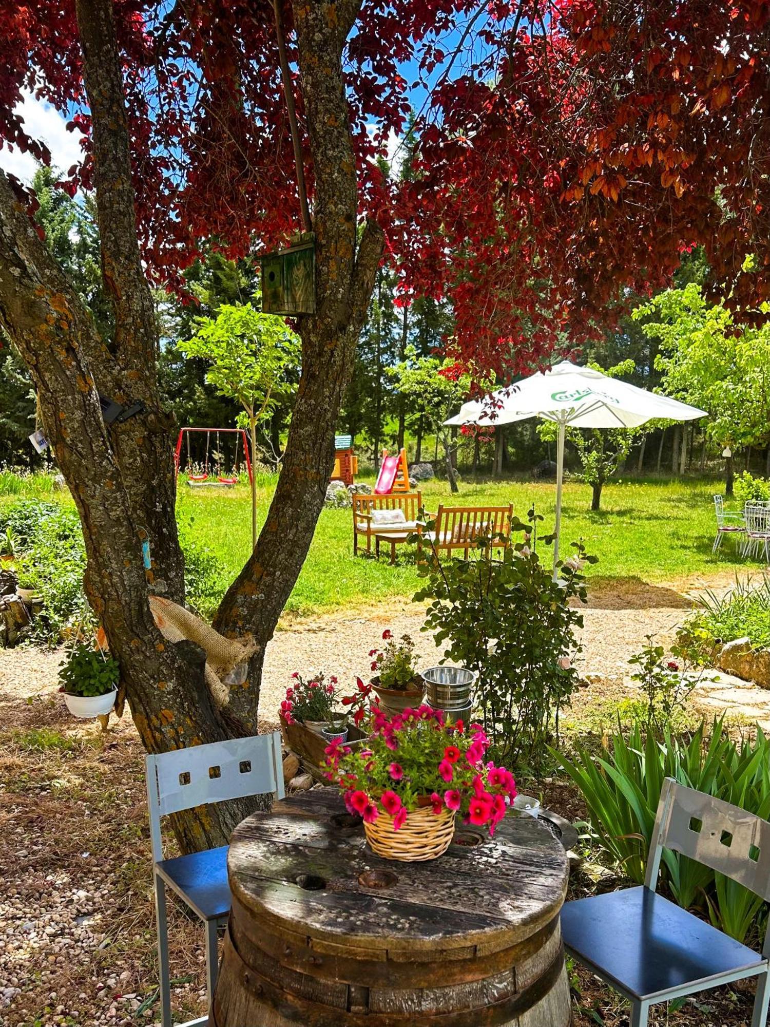Villa Sanz Κουένκα Εξωτερικό φωτογραφία