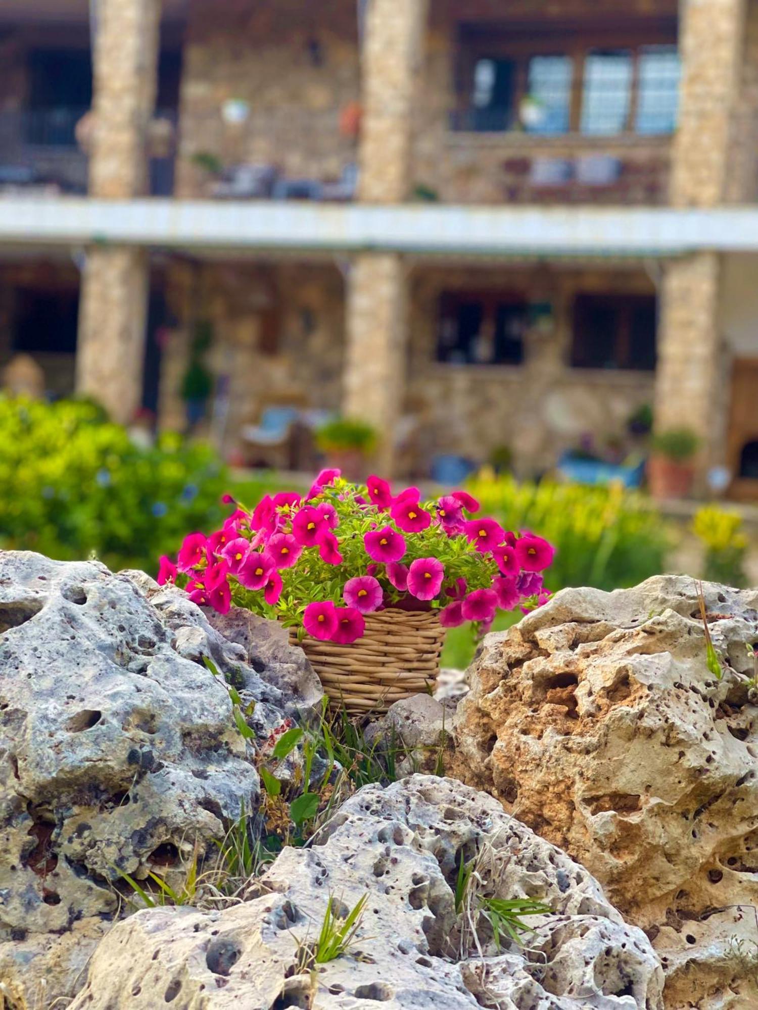 Villa Sanz Κουένκα Εξωτερικό φωτογραφία